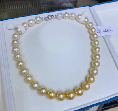 Golden Gradient White Australia & South Sea Pearls Necklace