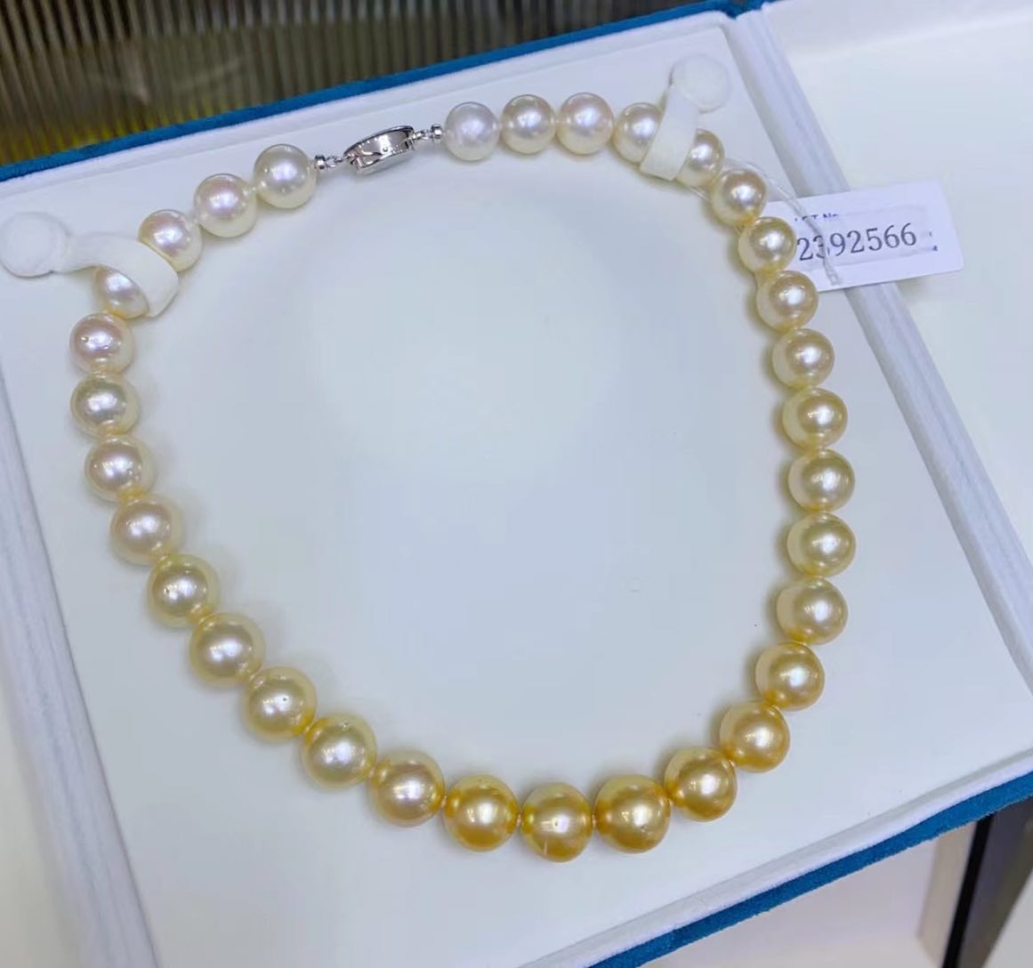 Golden Gradient White Australia & South Sea Pearls Necklace