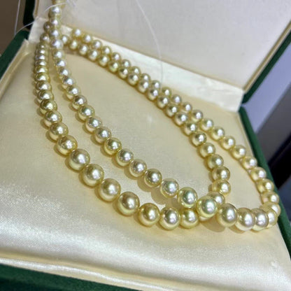 Rich Golden South Sea Pearls Necklace