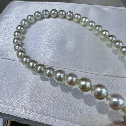 Light Green Saltwater Akoya Pearls Necklace