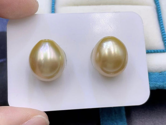 Golden Water-Drop South Sea Pearl Earrings